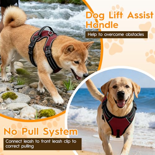 No Pull Dog Harness, No Chock Reflective Adjustable Soft Padded Pet Vest with Easy Control Handle, Easy Wearing with Stylish, Reinforced Knot, 2 Buckles - color: Neon Fuchsia, size: X-Small