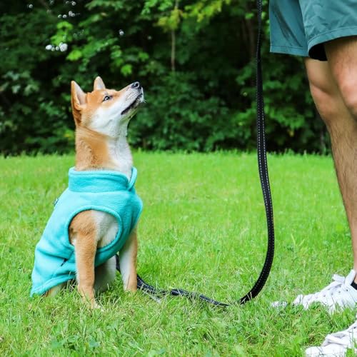 JACKO & CO - Fleece Vest Dog Sweater with Leash Ring - Soft, Warm & Lightweight Pullover Coat for Small & Medium Dogs, Puppies & Cats - Cozy Fall/Winter/Spring Pet Jacket (Turquoise, X-Small 2-4lbs) - color: Turquoise, size: XS (2-4lbs)