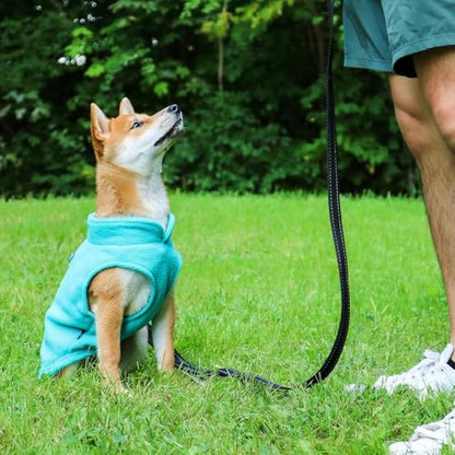 JACKO & CO - Fleece Vest Dog Sweater with Leash Ring - Soft, Warm & Lightweight Pullover Coat for Small & Medium Dogs, Puppies & Cats - Cozy Fall/Winter/Spring Pet Jacket (Turquoise, X-Small 2-4lbs) - color: Turquoise, size: XS (2-4lbs)