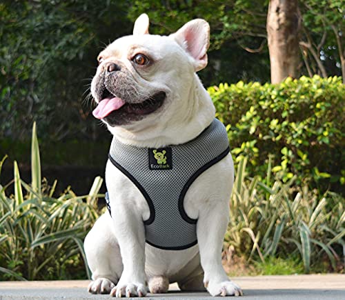 EcoBark Dog Harness - Eco-Friendly Max Comfort Harnesses - Luxurious Soft Mesh Halter - Over the Head Harness Vest- No Pull and No Choke for Puppy, Toy Breeds & Small Dogs (Small, Gray) - color: Gray