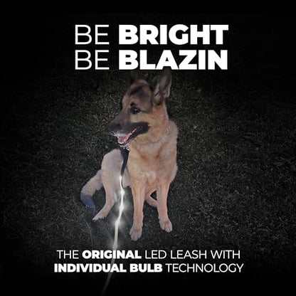 BLAZIN Light Up Dog Leash LED - 1,000 Feet of Visibility - USB Rechargeable Waterproof Glow in The Dark Dog Leash - 6 Foot, Black