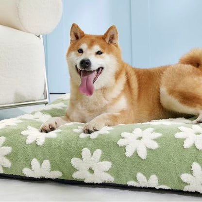 LE SURE Dog Beds Large Sized-Thick Shredded Chopped Foam Pet Bed Indoor as Bed Gift with Removable Cover, Cute Modern Fuzzy Plush & Anti Slip Bottom, Green - color: Green, size: 35.0"L x 22.0"W x 4.0"Th