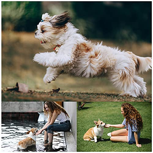 Bvrbaory 6 Pack Dog Flying Discs - Interactive, Soft Floating Saucer for Small, Medium Dogs - Safe on Teeth