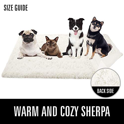 LOCHAS Luxury Fluffy Dog Blanket, Extra Soft and Warm Sherpa Fleece Pet Blankets for Dogs Cats, Plush Furry Faux Fur Puppy Throw Cover, 30''x40'' Cream White - color: Cream White, size: Medium(30''x40'')