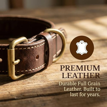 XanYu Premium Genuine Leather Dog Collar – Adjustable Heavy Duty Pet Collar with Sturdy Brass Buckle, Soft Padded & Stylish for Puppy and Small, Medium, Large Dogs (Brown)