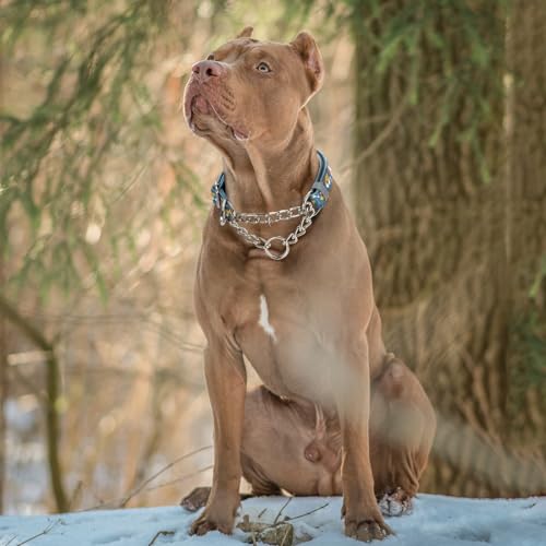Martingale Dog Collar Reflective No-Pull with Chain, Adjustable Anti Pull Training Collar - Cute Cartoon Dog Pattern for Medium Large XL Dogs, Size XL - color: 13, size: XL(Neck21"-27")