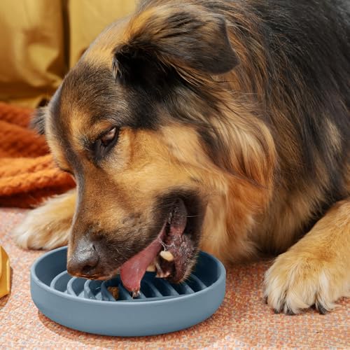 Should We Go? Slow Feeder for Dogs & Puppies, The Slowdown Bowl Silicone Slow Eating, Modern Lick Mat Design, Reduces Gulping, Fits 2 Cups, 7.5” Across x 1.5” Tall, Mealtime Challenge, Medium-Ocean - color: Ocean - Rainbow Design, size: Medium (7.5” Acros