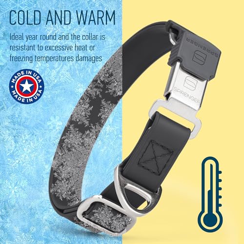 Biothane Waterproof Durable Dog Collar with Herm Sprenger - Quick Release ClicLock Buckle - Fits Medium and Large Dogs - Made in USA (Black, W 1" x L 15"-25") - color: Black, size: W 1" x L 15"-25"
