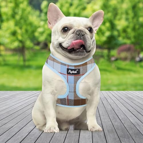 PUPTECK Soft Mesh Dog Harness and Leash Set Pet Puppy Cat Comfort Padded Vest No Pull Harnesses, Blue&Brown, XS - color: Blue&Brown, size: XS (NECK: 10", CHEST: 10"-14")