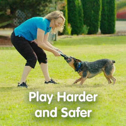 The ZooKeeper ZooBee Flying Disc Dog Toy – Soft & Durable Toss Disc for Indoor & Outdoor Play, Water Fetch & Pool Fun, Floats – Safe on Teeth – Dog Vision Friendly – Lightweight & Easy to Throw, Blue - color: Blue