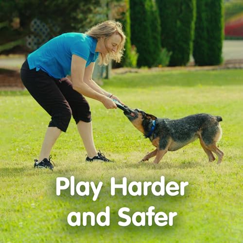The ZooKeeper ZooBee Flying Disc Dog Toy – Soft & Durable Toss Disc for Indoor & Outdoor Play, Water Fetch & Pool Fun, Floats – Safe on Teeth – Dog Vision Friendly – Lightweight & Easy to Throw, Blue - color: Pink