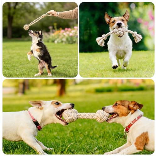 Dog Rope Toy for Small Dog 3pcs, Natural Chew Toys for Puppy, Medium & Small Dogs, Tug of War Rope for Puppies Clean & Relieve Teething - size: 3pcs