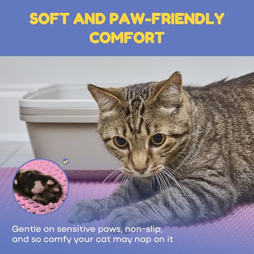 Cat Litter Mat. Easy to Clean, Waterproof, Urine-Proof