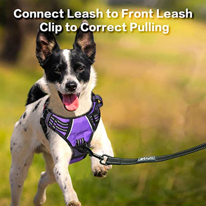 PoyPet No Pull Dog Harness, No Choke Front Clip Reflective Dog Vest with Soft Padded Vertical Handle, 3 Leash Attachments for Small Medium Large Dogs (Purple,XL) - color: Purple, size: Extra Large