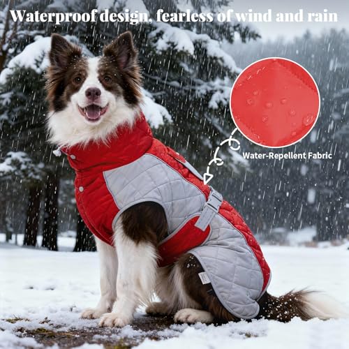 Dog Coat Dogs Jacket Waterproof Reflective Adjustable Dog-Winter Coats for Small/Medium/Large Dogs Dachshund Coat-(Red, XX-Large) - color: Red, size: Xx-large(chest 31~35in)