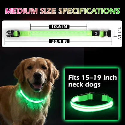 Neon LED Light Up Dog Collar for Night Walking, Rechargeable Safety Glow Illuminated Collar with 3 Modes Flashing, Reflective Adjustable Pet Light for Small/Medium Dogs Puppy 15-19" Neck (Green) - color: 1-Pack(Green)&Medium