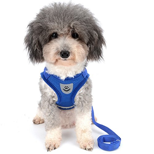Zunea Dog Harness & Leash Set - Small Dogs & Cats (7-11lbs), Blue, Mesh, Reflective, Adjustable, No Pull, Quick Release, Step-in Vest Harness - color: Blue, size: M (Chest:15.5 Inch, for 7-11lbs)