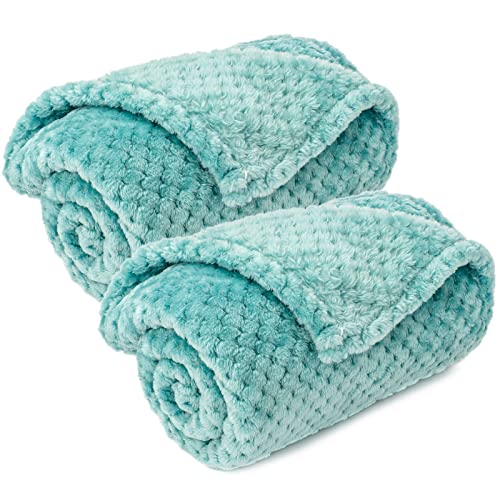 Pet Blanket for Dogs or Cats - Warm Soft Fuzzy Plush Fleece Throw for Puppy, Kitten, Small, Medium, Large Pets - Bed, Couch, Sofa, Travel (S/24" x 32", Robin Blue) - color: Robin Blue, size: S/24" x 32"