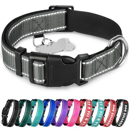 TECEUM Reflective Dog Collar – Gray – M – Extra Soft Padding – Basic Nylon Pet Collar – Quick Release Buckle – Fits Small, Medium and Large Dogs, Puppies, Cats – ESA & Service Dog Options - color: Gray, size: Medium