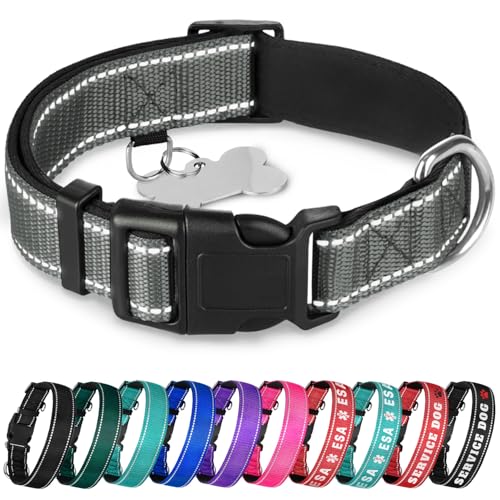 TECEUM Reflective Dog Collar – Gray – XXS – Extra Soft Padding – Basic Nylon Pet Collar – Quick Release Buckle – Fits Small, Medium and Large Dogs, Puppies, Cats – ESA & Service Dog Options - color: Gray, size: XX-Small