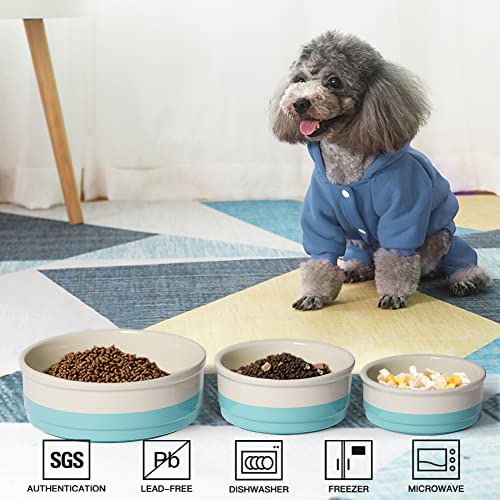 Sweejar Ceramic Dog Bowls, Dog Food Dish for Small Dogs and Cat, Heavy Duty Porcelain Pet Bowl for Canned Food and Water 17 Fl Oz （Turquoise） - color: Turquoise, style: Two-tone,5.5"x 2.2"(16 Fl Oz)