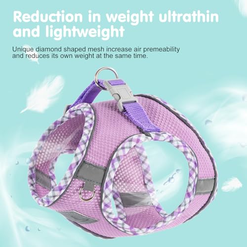 Dog Harness and Leash Set, No Pull Soft Breathable Adjustable Reflective Step In Vest Harness for Puppy, Kitten, Cats - color: purple, size: xxs