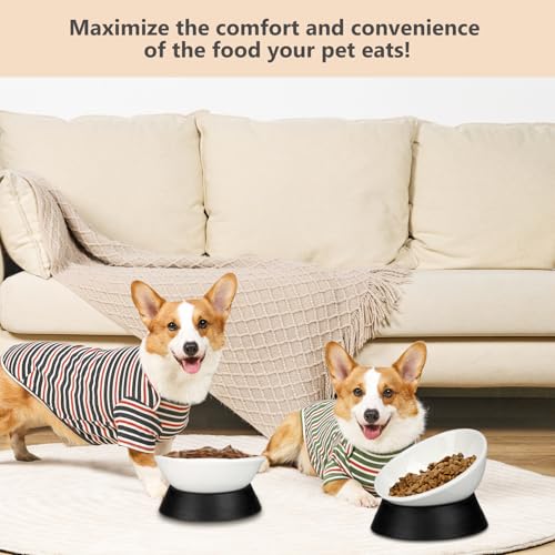 Bulldog Bowl Anti-Slip Dog Cat Dish Detachable Ceramic Pet Sterile Tilted Pet Feeder Slope Base (White Ceramic Bowl, 2 Cup) - color: Black(White Ceramic Bowl), size: 2 Cup ( Small/Medium Dog )