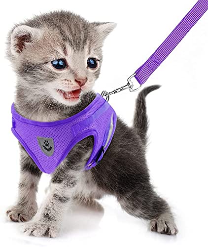 Dog Harness and Leash Set for Walking, Soft Mesh Adjustable Easy Control Lightweight Cat Vest Harnesses with Reflective Strips, Escape Proof Small Dogs Cats Vests - color: Purple, size: Large