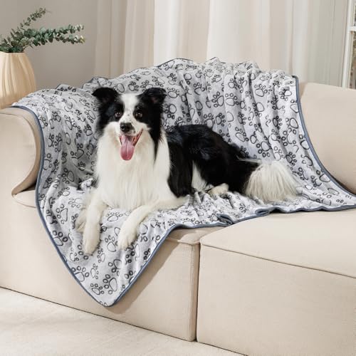 Luciphia 1 Pack 3 Blankets Fluffy Premium Fleece Pet Blanket Flannel Paw Printed Throw for Dog Cat Grey Paw Medium(30"x20",Pack of 3) - color: Grey-paw Line, size: 30x20 inch (Pack of 3)