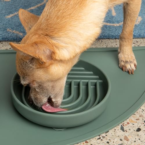 Should We Go? Slow Feeder for Dogs & Cats, The Slowdown Bowl Silicone Slow Eating Mealtime Solution with Modern Lick Mat Design, Reduces Gulping, Fits 1 Cup, 6” Across x 1.25” Tall, Small-Spruce - color: Spruce, size: Small (6” Across x 1.25” Tall)