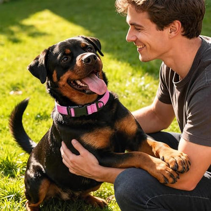 Reflective Dog Collar with Quick Release Buckle - Metal Ring - Adjustable Soft Neoprene Padded Basic Dog Collar for Small Medium Large Dogs (Hotpink, Small :Width 1",Neck 11.8-15.7") - color: Hotpink, size: Small