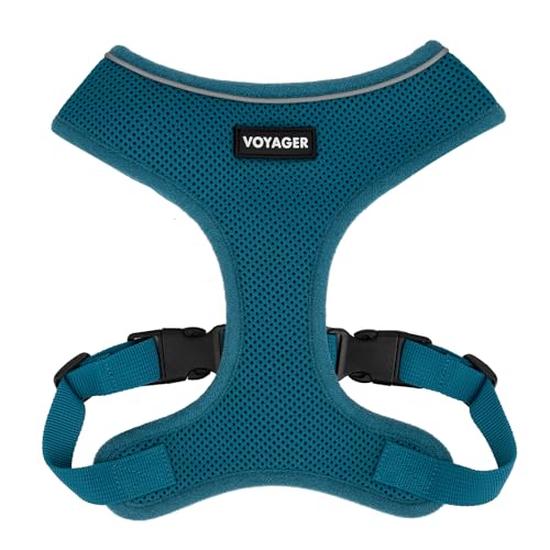Voyager Aerolite Over the Head Dog Harness, No Pull Breathable Air Mesh Vest, Quick Dry with Reflective Stitching, Adjustable Escape Resistant Harness for Small Medium Large Dogs - Turquoise, X-Small - color: Turquoise, size: XS