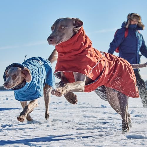 Hurtta Extreme Warmer III ECO, Cold Weather Winter Dog Coat, Bilberry, 14 in - color: Bilberry, size: 14 in