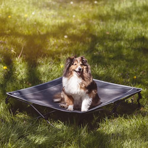 TIMBER RIDGE Outdoor Dog Bed, Cooling Elevated Pet Bed Portable Raised Dog Bed with Breathable Mesh, Dog Bed Foldable Dog Cot for Indoor & Outside, Grey - size: 36.6"L x 36.6"W x 7.9"Th