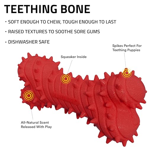 Playology Dog Toys | Teething Bone for Large Puppies and Young Dogs | Beef Scented Jumbo Dog Bone Chew Toy | Teething Puppy Essentials - size: Jumbo, style: Beef