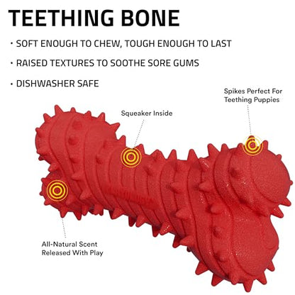 Playology Dog Toys | Teething Bone for Large Puppies and Young Dogs | Beef Scented Jumbo Dog Bone Chew Toy | Teething Puppy Essentials - size: Jumbo, style: Beef