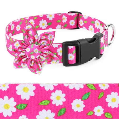 Daisy Pink Dog Collar Cute Dog Collars with Flower Bow for Small Medium Large Dogs Hot Pink Floral Colored Options Soft and Fancy Pet Collars for Girls Flower Pattern for Girl Dog Collar - color: Daisy-Pink, size: Medium