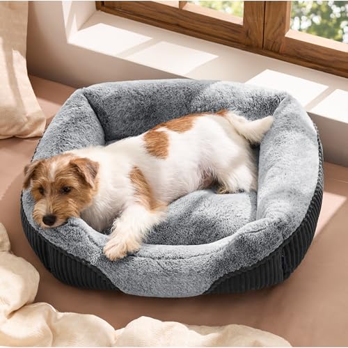 Bedsure Washable Dog Bed Small Medium Size Dog - Rectangle Fluffy Plush Pet Bed Puppy Bed, Comfy Corduroy Fleece and Nonskid Bottom,25x21x7inches,Suitable for Pet Up to 20lbs,Grey - color: Grey, size: 25"L x 21"W x 7"Th