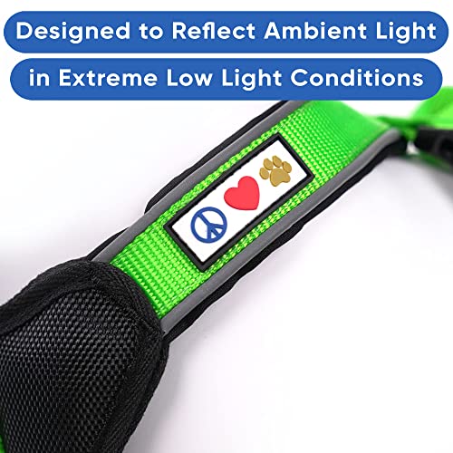 Pawtitas Reflective Padded Dog Harness for X-Small Dogs – Adjustable Puppy Step-in Vest | Fits Chest 14–18 in | No Pull Training Harness | XS | Green - color: Green, size: X-Small (Pack of 1)