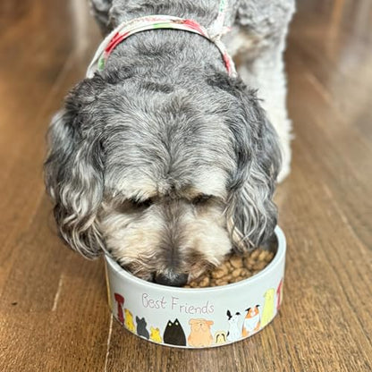 SPOT Best Friends Pet Food Dish - Food or Water Ceramic Bowl for Pets, Ideal for Medium & Large Dogs, Dishwasher Safe, 5 Cups (40oz) Capacity - 7in, Light Grey - size: 7 inch