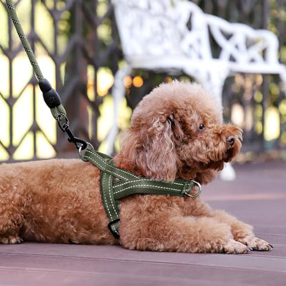 Plutus Pet No Pull Dog Harness with Breathable Mesh Padded, Adjustable Reflective Escape Proof Dog Harness, Quick Fit Dog Vest Harness for Small Medium Large Dogs(XXS, Ranger Green) - color: Ranger Green, size: XXS: chest 11.8"-15"