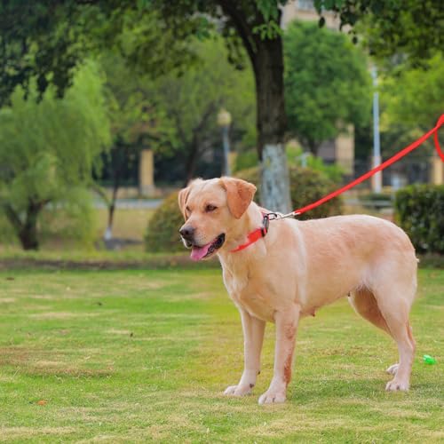 Waterproof Dog Collar, Easy to Clean Rubber Dog Collars with Quick Release Buckle Fits Small Medium or Large Dogs (Red, M (11.8-18.5 inch)) - color: Red, size: M (11.8-18.5 inch)