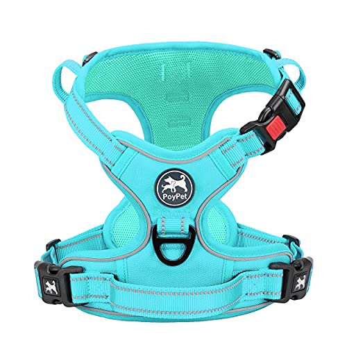 PoyPet No Pull Dog Harness, No Choke Reflective Dog Vest, Adjustable Pet Harnesses with Easy Control Padded Handle for Small Medium Large Dogs(Mint Blue Matching Trim,XS) - color: Mint Blue(Matching Trim), size: XS