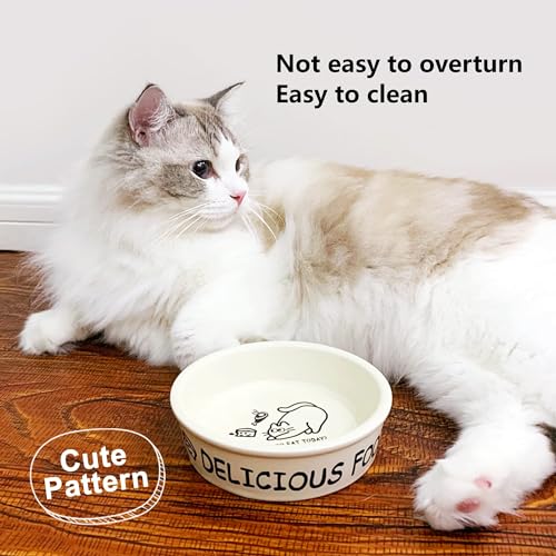 TTcat Ceramic Cat Feeder, 5.1in Shallow Design Food Bowl, Small Pet Dishes for Cats, Kitten, Dishwasher Safe - color: Cartoon Bowl