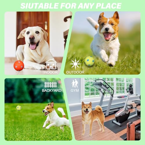 Automatic Dog Ball Launcher for Small to Medium Dogs, Interactive Pet Toy with Balls (Purple)
