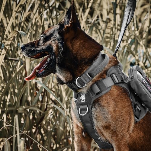 OneTigris Tough Dog Collars, Tactical Dog Collar with Handle, Milltary Adjustable Dog Collar with Heavy Duty Metal Buckle for Training (Large,Gray) - color: Gray, size: L