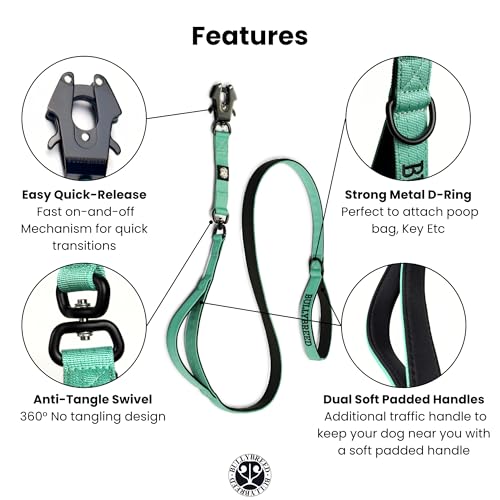BULLYBREED | Heavy Duty Dog Leash, Tactical Dog Leash, Quick Release Frog Clip with Anti-Tangling Swivel System for Large Dogs that Pull with Soft Double Handles (5 FT Long, Aquamarine) - color: Mint Green Double Handle