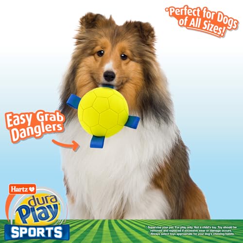 Hartz Dura Play Sports Soccer Dog Toy, Bacon Scented Squeaky Latex Yellow & Blue Toy, 3 Count - size: 3 Count, style: Soccer Ball