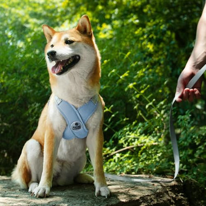 Dog Harness with Leash Set Adjustable Soft Padded Step-in Dog Vest No Choke No Pull Reflective for Small Medium Pets with Poop Bags and Dispenser, Solid and No-chew, Blue M - color: Blue, size: M (Neck 19.3-23.3'' Chest 22.5-25.6'')