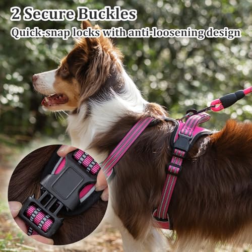 Vest Harness for Dogs - Reflective Adjustable Padding with Easy-On Design & Leash Attachment (XL, Hot Pink) - color: Hot Pink, size: XL